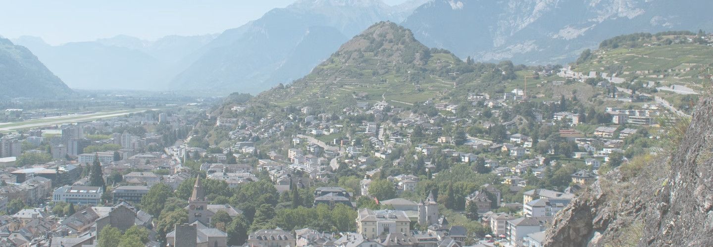 private jet from Nice to Sion